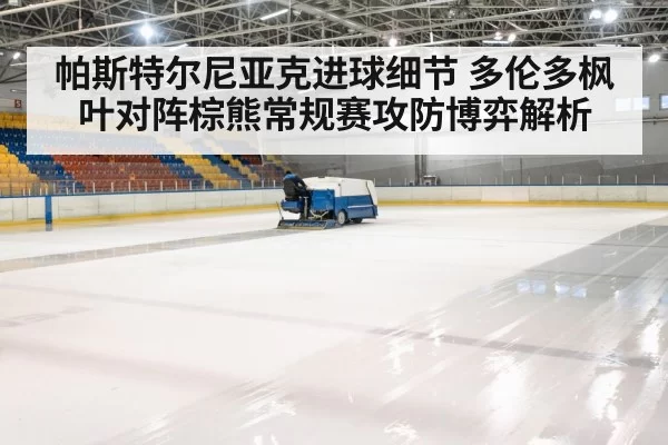 ice hockey rink arena