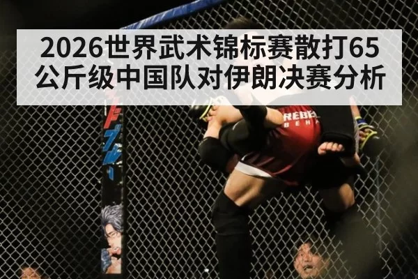 2026世界武术锦标赛散打65公斤级中国队对伊朗决赛分析
